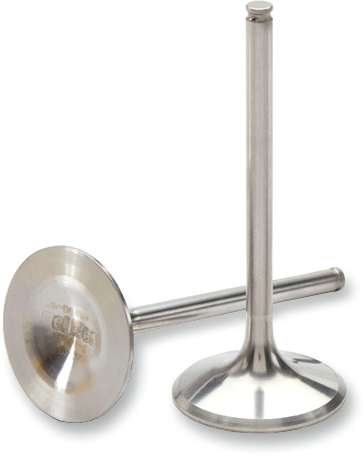 Exhaust Valve