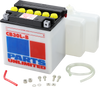 Battery - YB30L-B