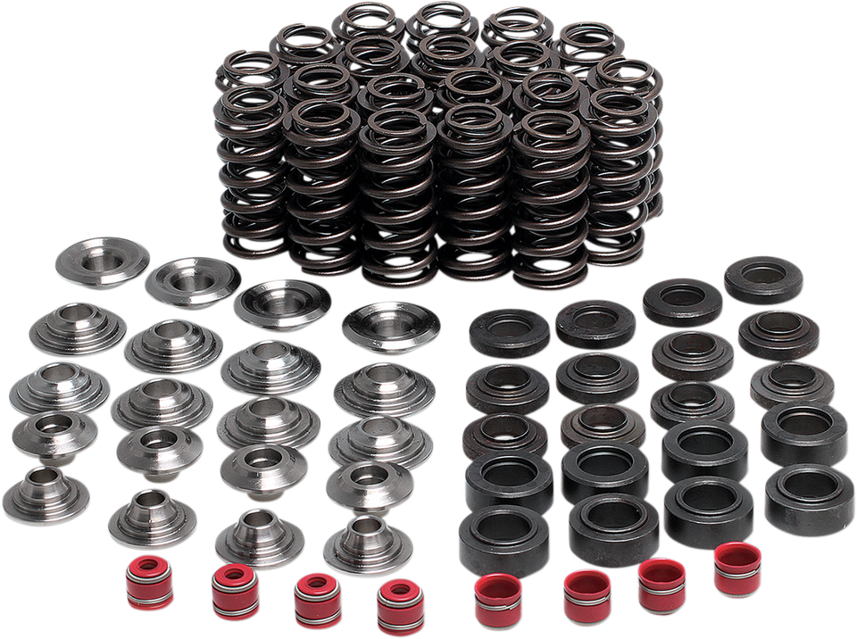 Valve Spring Kit