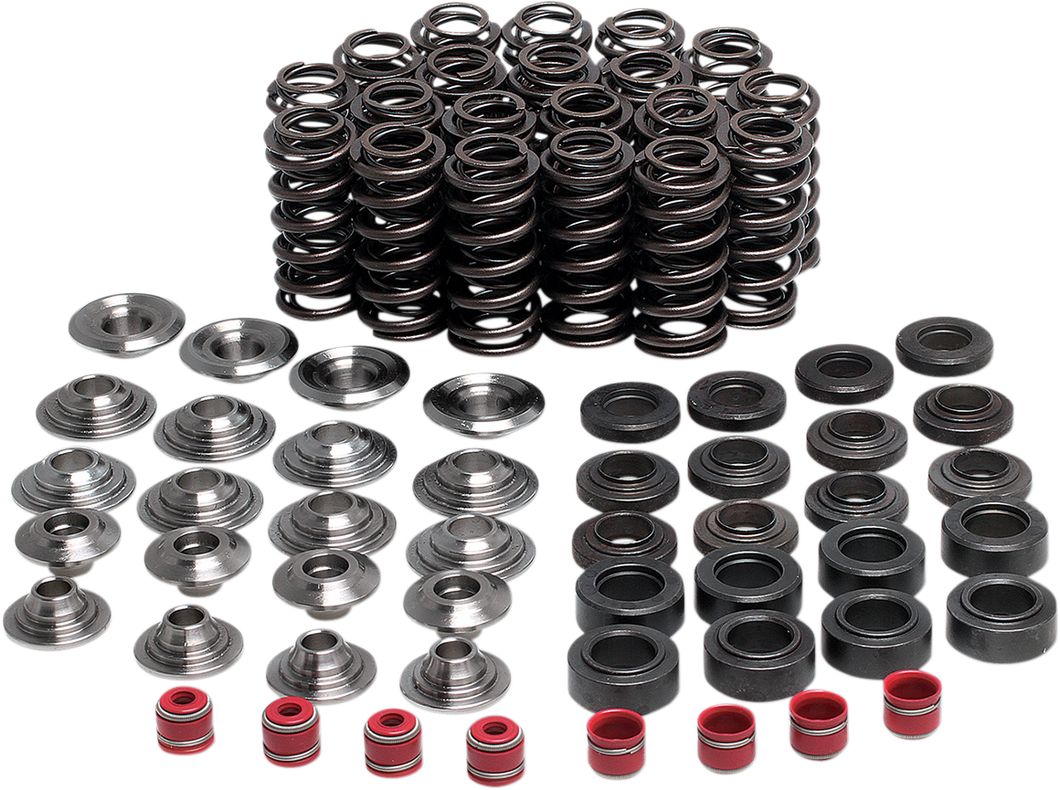 Valve Spring Kit