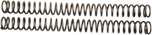 Front Fork Springs - 0.53 kg/mm