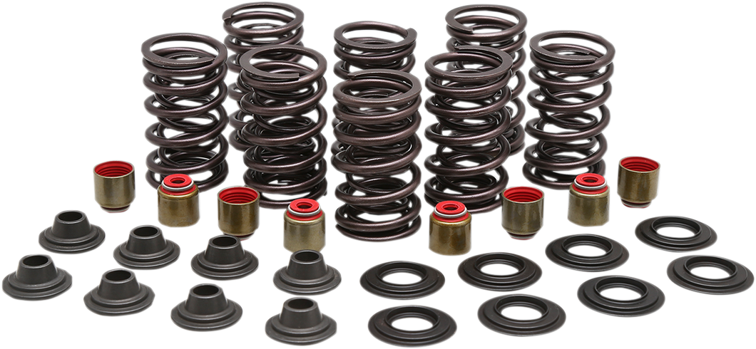 Valve Spring Kit