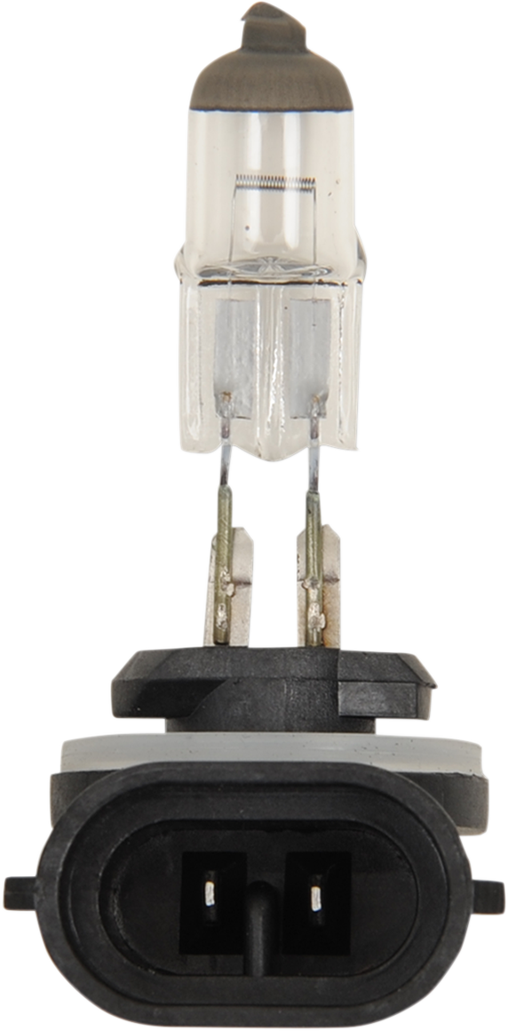 Halogen Bulb - 894 - 37W