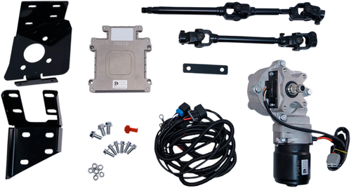 Electric Power Steering Kit - RZR