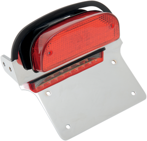 Taillight/License Plate Assembly - Harley Davidson