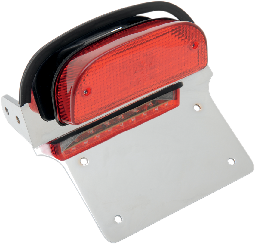 Taillight/License Plate Assembly - Harley Davidson