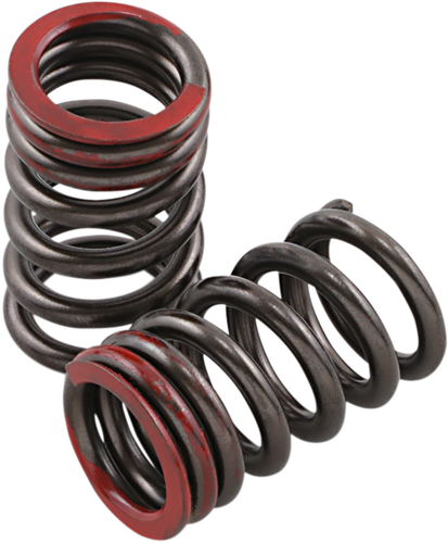 Valve Springs - Exhaust - Honda