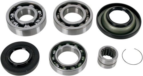 Differential Bearing/Seal Kit - Honda - Rear