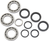 Differential Bearing/Seal Kit - Front