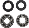 Main Bearing Kit