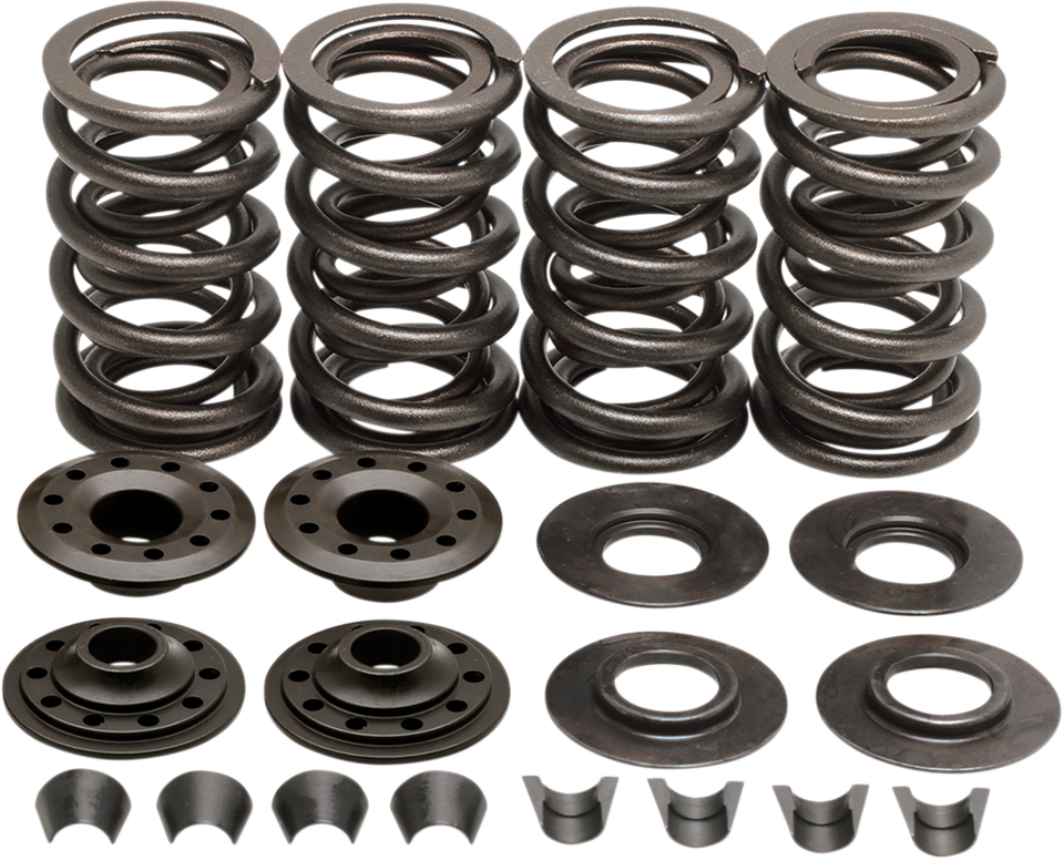 Valve Spring Kit - Big Twin