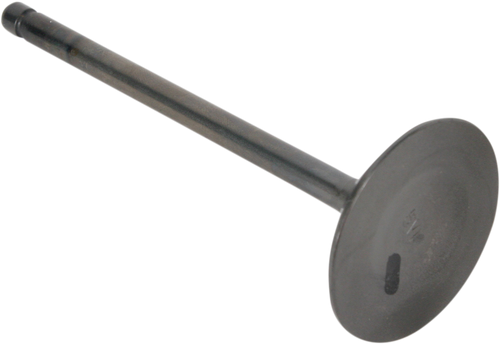 Intake Valve