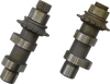 Conversion Camshaft