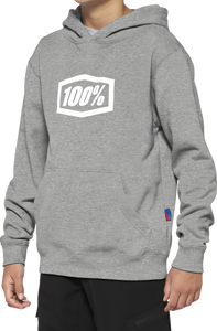 Youth Icon Hoodie - Gray - Small - Lutzka's Garage