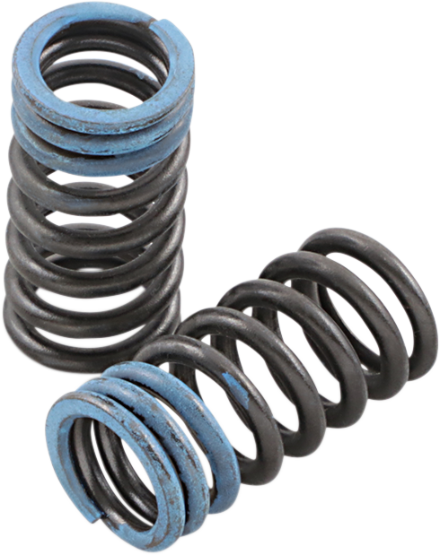 Valve Springs - Intake - Honda