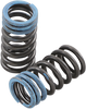 Valve Springs - Intake - Honda