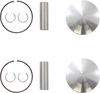 Piston Kit - 64.87 mm - Ski Doo