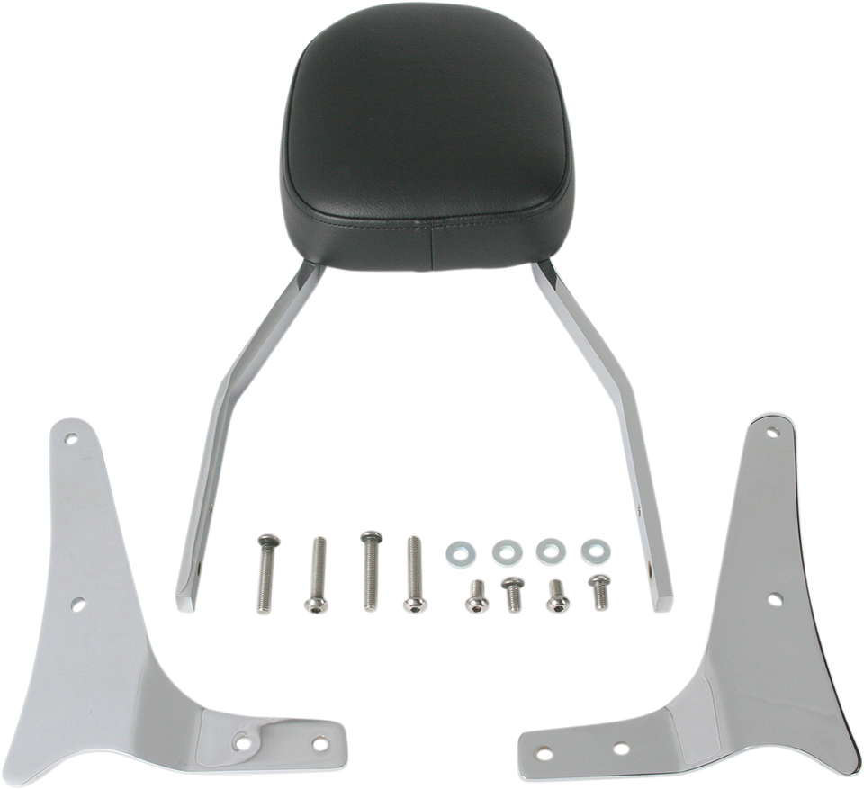 Sissy Bar - Standard - VN1600A