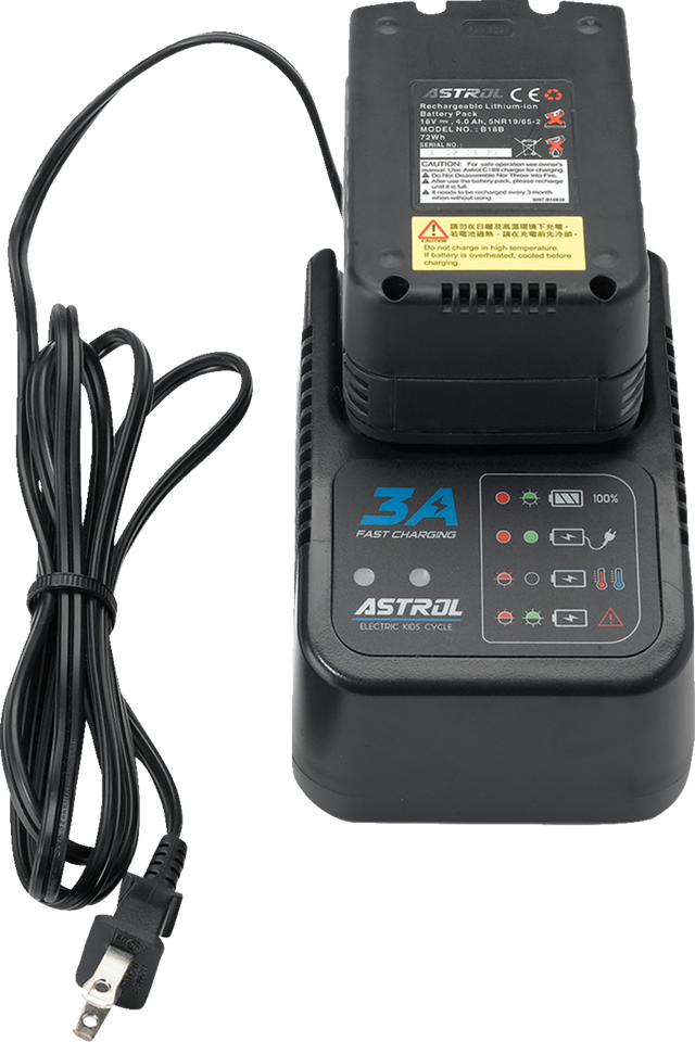 RS-16 E-Bike Battery Charger