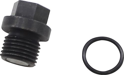 Front Differential Drain Plug and O-Ring