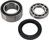 Chain Case Bearing and Seal Kit