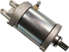 Starter Motor - Polaris