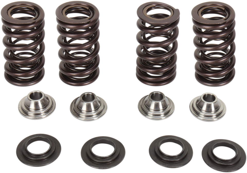 Valve Spring Kit