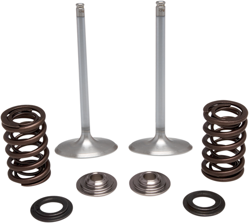 Intake Valve Kit