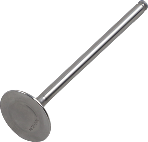 Exhaust Valve