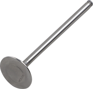 Exhaust Valve