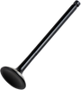 Exhaust Valve