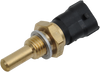 EFI Temperature Sensor