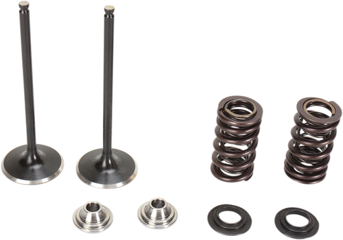 Valve Spring Kit