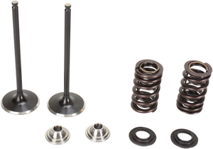 Valve Spring Kit