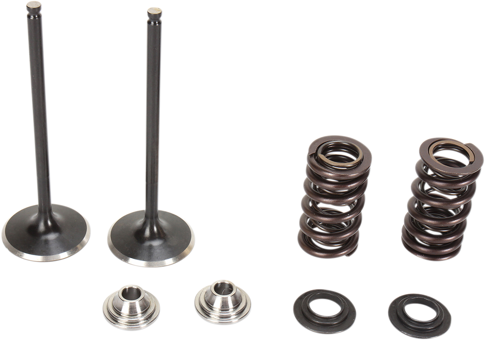 Valve Spring Kit