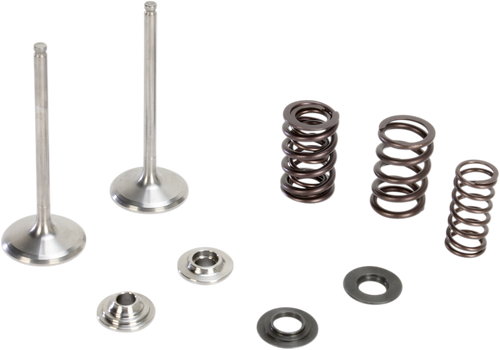 Intake Valve Kit