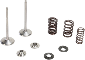 Intake Valve Kit