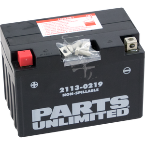 AGM Battery - YT12A-BS