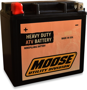 AGM Battery - GYZ16H