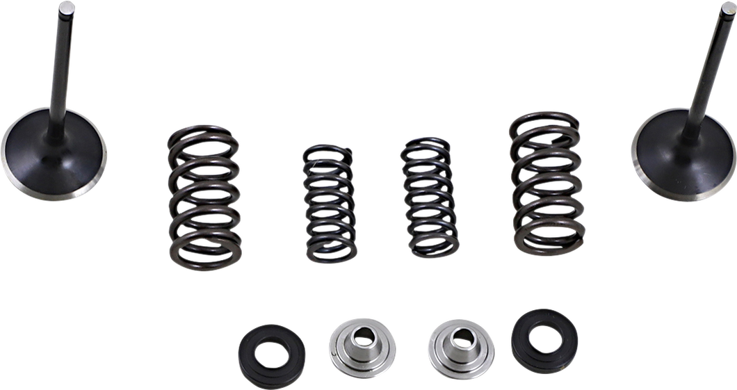 Intake Valve Kit