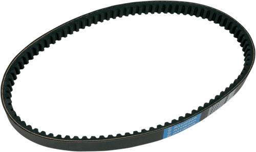 Transmission Belt - 22.1 x 10.2 x 918