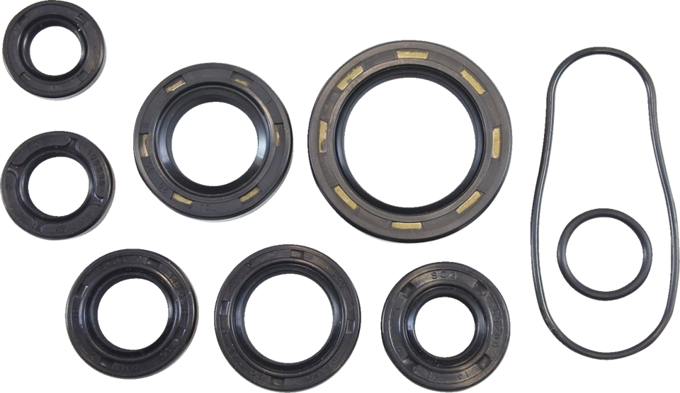 Oil Seal Kit