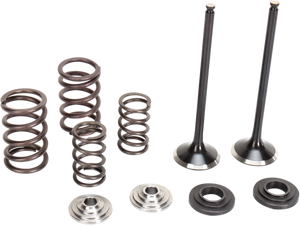 Valve and Spring Kit