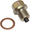 Magnetic Oil Drain Plug