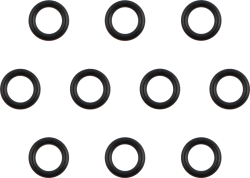 Oil Pump Check Valve O-Ring