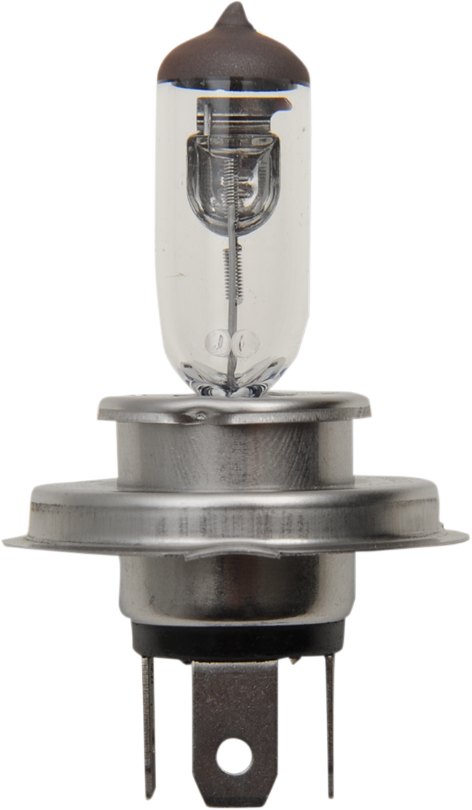 Halogen Bulb - H4 - 60/55W