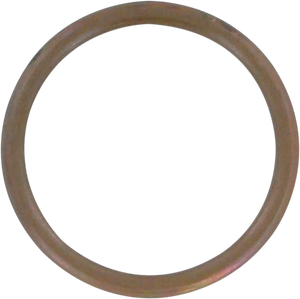 Exhaust Gasket