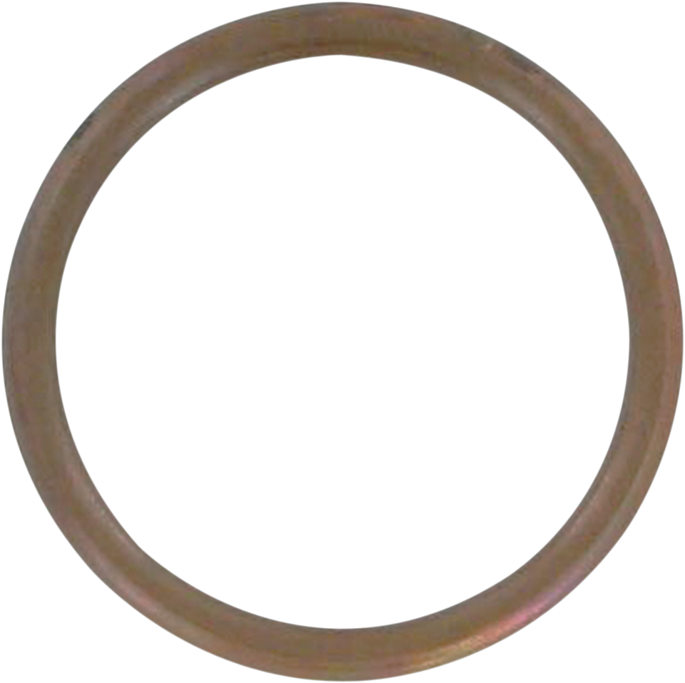 Exhaust Gasket