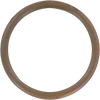 Exhaust Gasket