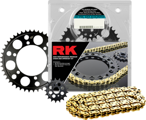 Chain Kit - Gold - BMW - S1000 RR 12-19 - Lutzka's Garage